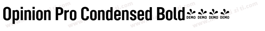 Opinion Pro Condensed Bold字体转换